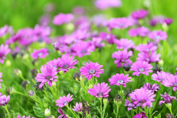 写给情人最感人的情书