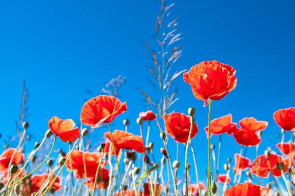 写给情人最感人的情书