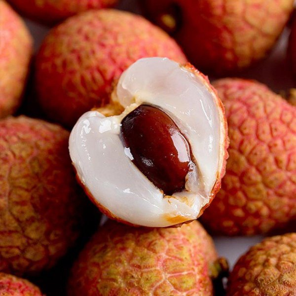 广州荔枝几月份成熟上市