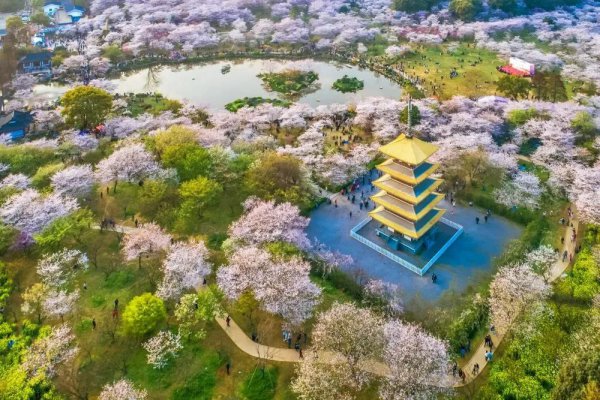 湖北5a景点排名大全