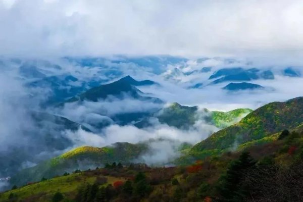 湖北5a景点排名大全