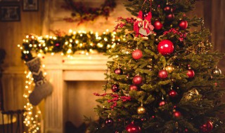 圣诞树是用什么树做的 圣诞树是哪种树做的