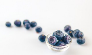 蓝莓如何储存保鲜最好 蓝莓如何储存比较好