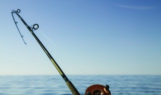 路亚是钓什么鱼的 路亚竿可以钓些什么鱼