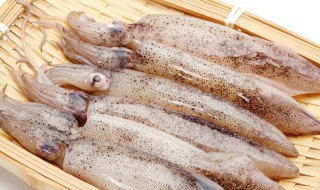 小鱿鱼怎么处理干净 小鱿鱼如何清洗