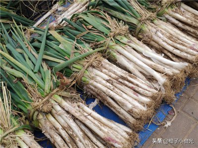 成捆大葱怎么保存时间最长 买回来整捆大葱长期保鲜储存
