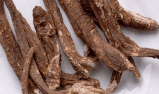 野生当归怎么辨认好坏 野生当归如何辨认好坏