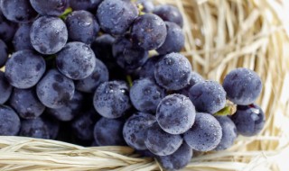 葡萄节是什么时候 葡萄节的时间