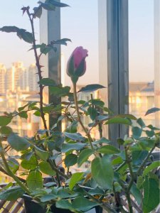 家里返潮严重怎么处理 家里屋内回潮怎么回事