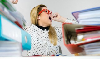 梦见猫拉屎预示什么 梦见猫拉屎预示啥