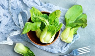 粤菜适合什么地方种植 广菜适合什么地方种植