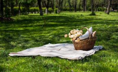 踏青的意思是什么 古代的踏青是几月有什么诗词体现