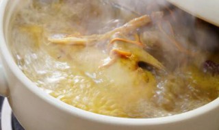 如何炖鸽子汤好喝简单方法 炖鸽子汤好喝简单方法有哪些