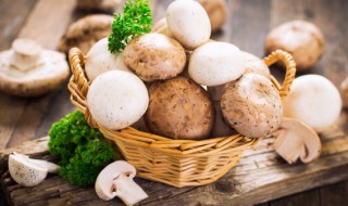 清炒口菇怎么做 口菇炒香菇做法大全