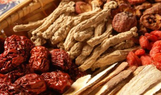 枸杞根有什么功效 枸杞根的作用