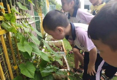 六大思维能力是哪六种 孩子从小就要培养的6种思维能力