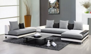 澳洲龙杉摆放在客厅好不好 澳洲龙杉摆放在客厅好吗