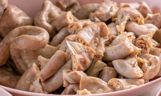 红烧猪肠是哪里的名菜 红烧猪肠的介绍