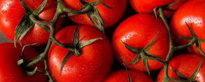 吃西红柿的最佳时间 西红柿能减肥吗哪个时间吃比较好