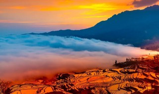 云南著名的旅游景点有哪些 云南著名的旅游景点介绍