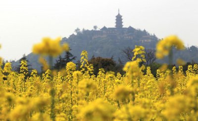 南通有什么好玩的地方介绍 江苏省南通市旅游景点推荐