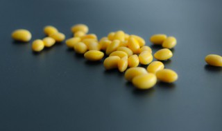 新鲜黄豆的保存技巧 新鲜黄豆有什么保存方法