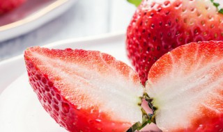狗吃草莓的好处和坏处 狗吃草莓有什么好处和坏处