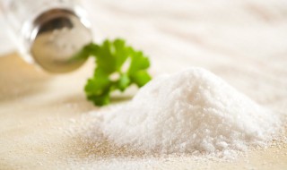 怎么鉴别盐的真假 盐的真假如何鉴别