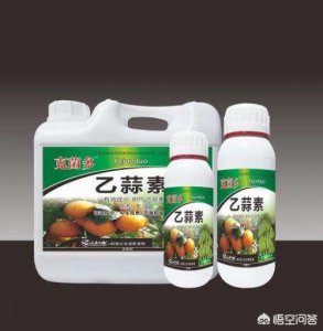 乙蒜素的作用和用途 乙蒜素的效果和使用方法