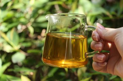 普洱茶时间越长越好吗 普洱茶年份越久冲泡越好喝吗