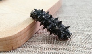 海参和香菇能一起吃吗 可以一起吃海参和香菇吗