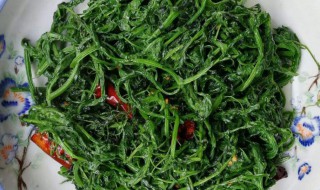 吃苕菜的禁忌 苕菜的食用禁忌介绍