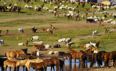 蒙古的首都及国家简介 蒙古国是一个什么样的国家