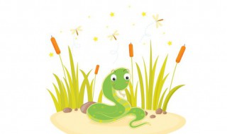 13年属什么生肖 2013年对应生肖介绍