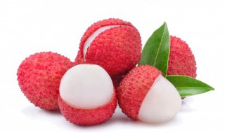 广州适合养什么盆栽水果 广州适合养哪些盆栽水果