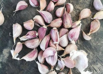 种大蒜要不要剥外面的皮 种大蒜的正确过程