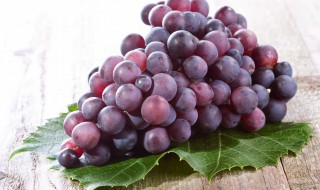 葡萄种子要泡几天才能发芽 葡萄种子要泡多长时间才能发芽