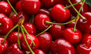 经常吃樱桃有什么好处 经常吃樱桃有什么功效与作用