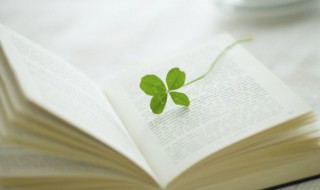 毕淑敏经典语录励志 毕淑敏经典励志句子摘抄