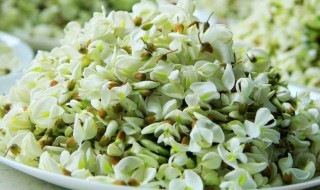 槐花能生吃吗 槐花是否可以直接生吃