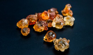 桃胶怎么分辨好坏 桃胶品质辨别的方法