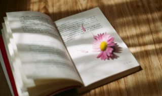 经典的人生哲理说说句子 关于经典的人生哲理句子推荐