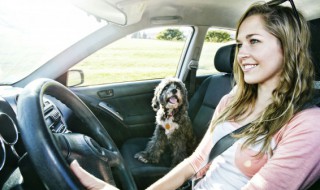 汽车内饰是什么材料的 汽车内饰介绍