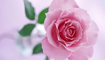 走进狮子男心里的女人 让狮子男着迷的有这3种女人