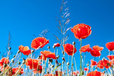 写给情人最感人的情书 一封写给思念情人超感动情书