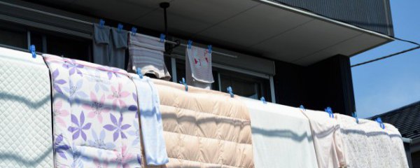 鹅绒保存方法与注意事项