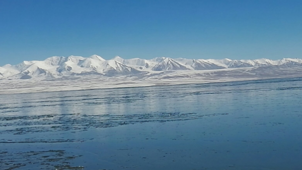 中国占地面积最大的城市排名