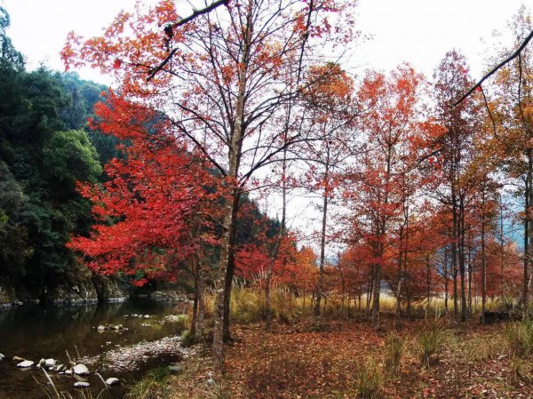 湖南邵阳旅游必去十大景点
