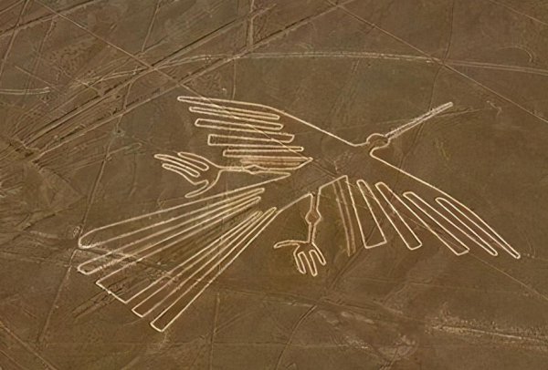 秘鲁人口和面积是多少