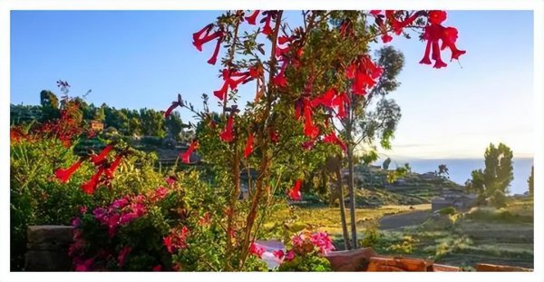 秘鲁人口和面积是多少